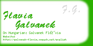 flavia galvanek business card